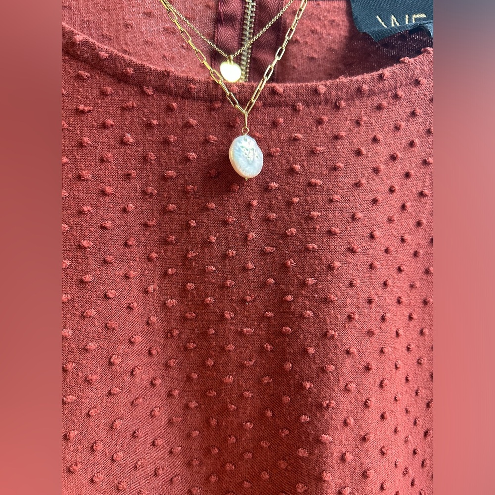 W5 rust blouse. Perfect for fall! - Picture 5 of 5